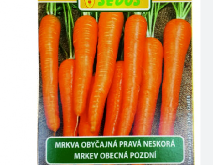 Sedos Mrkva obyčajná ´Cortina´- výsevný pásik 5m