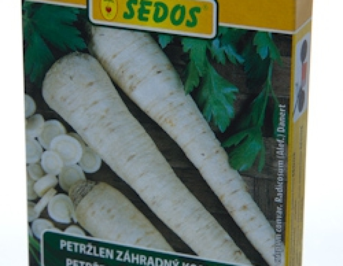 Sedos Petržlen záhradný - koreňový ´Orbis´ - výsevný pásik 5m
