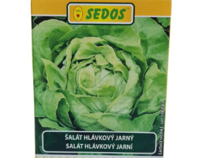 Sedos Šalát jarný ´Král máje I.´ - výsevný pásik 5m