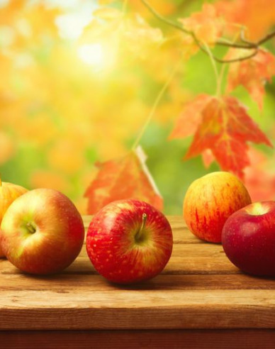 Jabloň Jonathan zimná, podpn. MM106, voľnok.