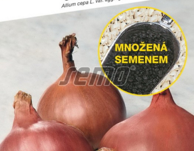 Semo Cibuľa šalotka ´Camelot F1´