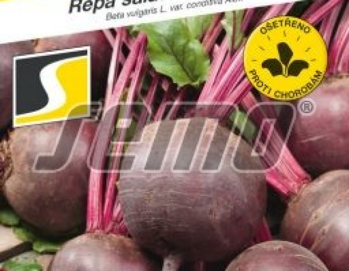 Semo Cvikla ´Redshine´