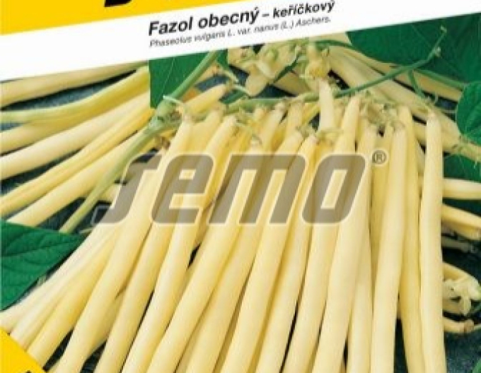 Semo Fazuľa záhradná kríčkovitá ´Berggold´
