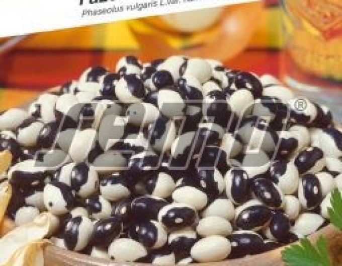 Semo Fazuľa záhradná kríčkovitá ´Yin Yang´
