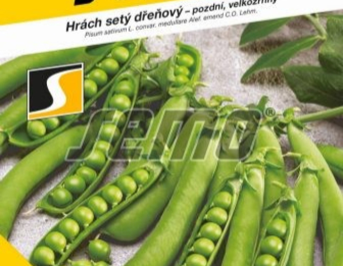 Semo Hrach siaty pravý ´Cedrik´ 250g