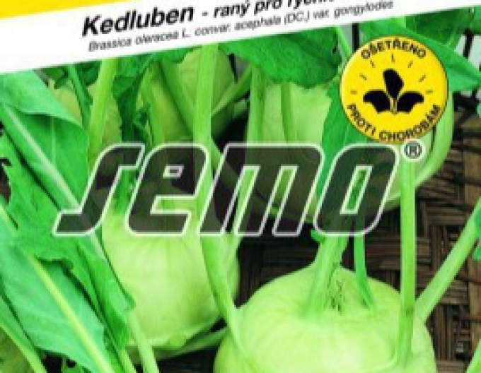 Semo Kaleráb ´Luna´