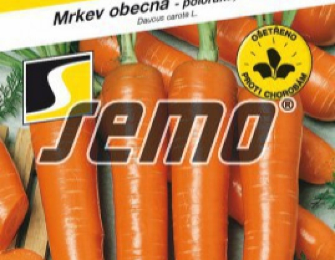 Semo Mrkva obyčajná ´Marquette´