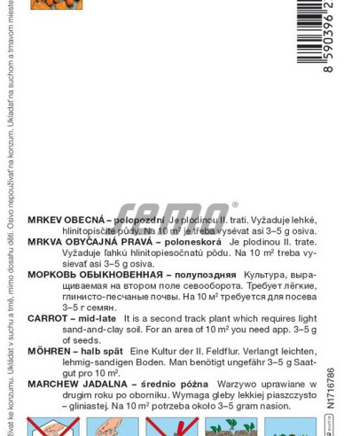 Semo Mrkva obyčajná ´Tena F1´