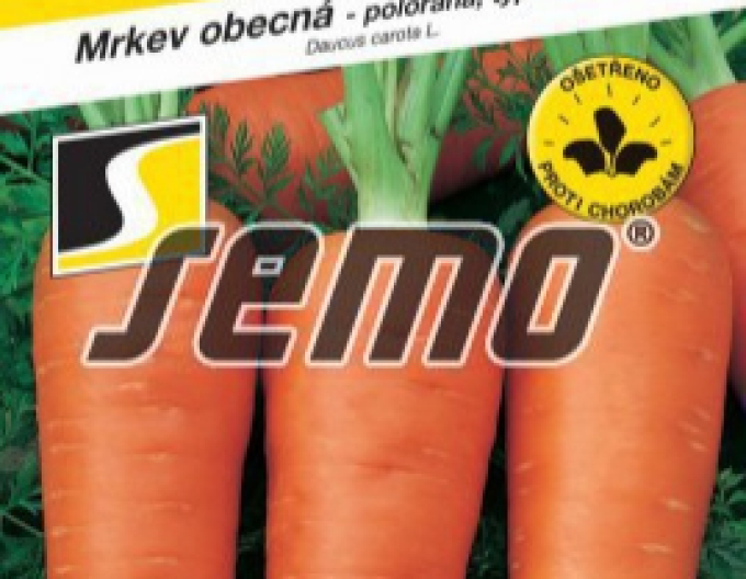 Semo Mrkva obyčajná ´Chamare´