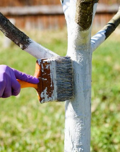 Biovita Vápno na bielenie stromov a kríkov vedierko 1kg