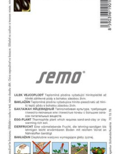 Semo Baklažán (Ľuľok baklažánový) ´Krasan´