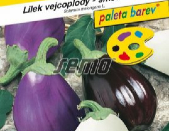 Semo Baklažán (Ľuľok baklažánový) ´Zmes farieb´