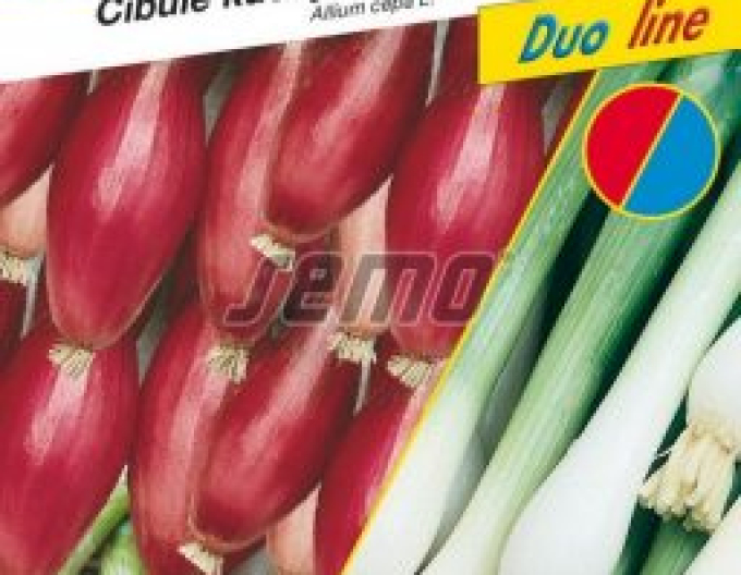 Semo Cibuľa kuchynská ´Zmes farieb´ zväzková