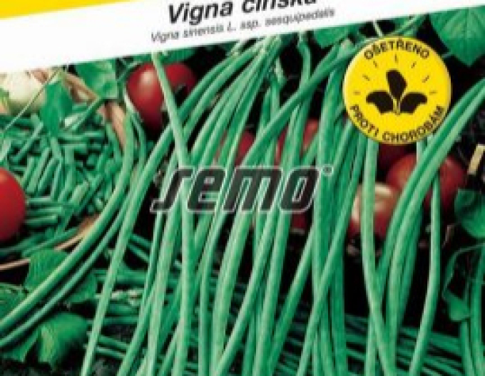 Semo Fazuľa  tyčová ´Metro´ ( Vigna čínská)