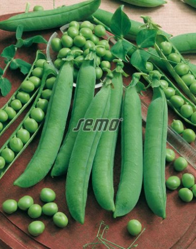 Semo Hrach siaty ´Twinset´ 50g