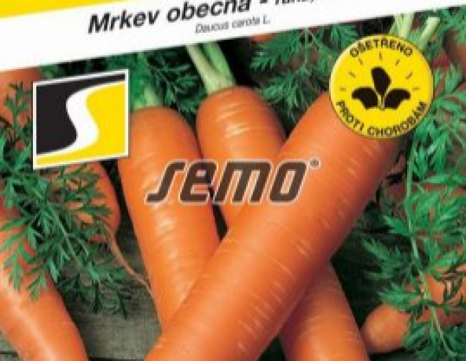 Semo Mrkva obyčajná ´Lenka´