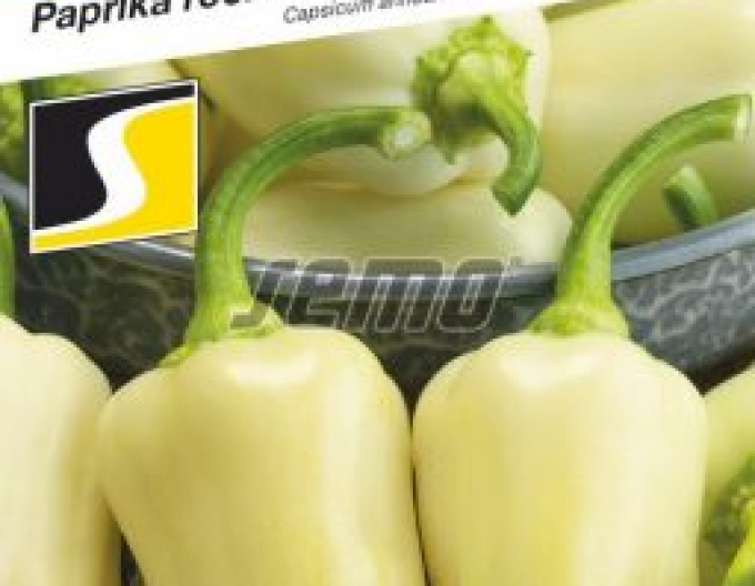 Semo Paprika ročná ´Amykus F1´