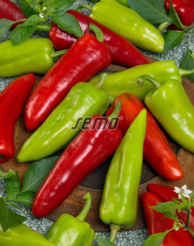 Semo Paprika ročná ´Dráky F1´