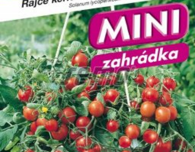 Semo Rajčiak Kríčkový ´Tumbling Tom Red´