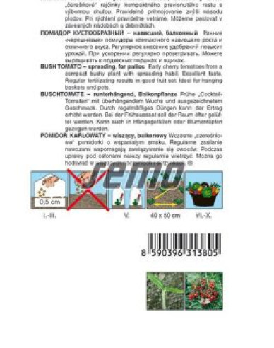 Semo Rajčiak Kríčkový ´Tumbling Tom Red´