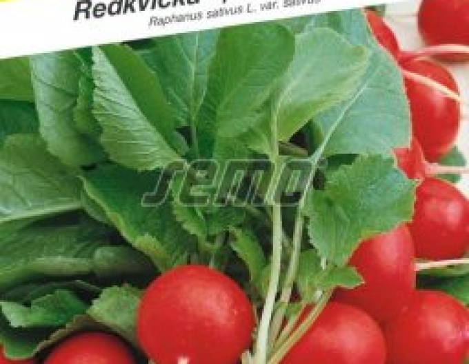 Semo Reďkovka červená ´Cherry Belle´