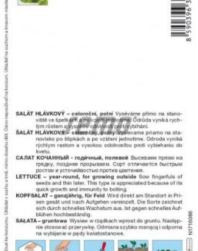 Semo Šalát hlávkový ´Safírus´