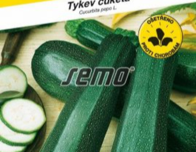 Semo Tekvica cuketa  ´Ambassador F1´