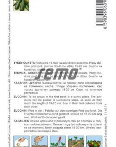 Semo Tekvica cuketa  ´Ambassador F1´