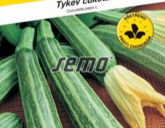 Semo Tekvica cuketa  ´Striato di Napoli´