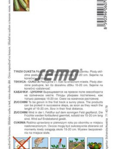 Semo Tekvica cuketa  ´Striato di Napoli´