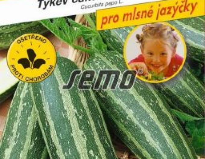 Semo Tekvica cuketa  ´Bush Baby F1´