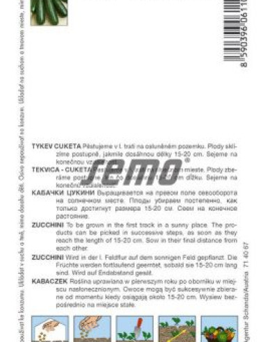 Semo Tekvica cuketa  ´Startgreen F1´