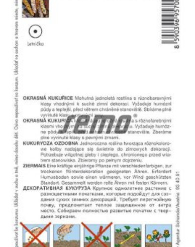 Semo Kukurica okrasná Multicolor