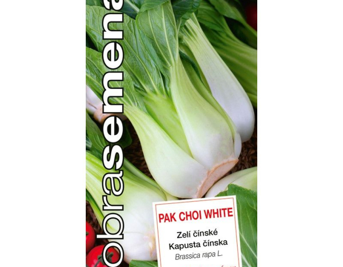 Dobrá semena Kapusta čínska ´Pak Choi White´