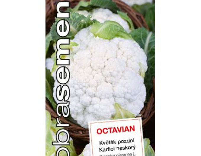 Dobrá semená Karfiol ´Octavian´