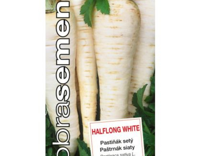 Dobrá semena Paštrnák ´Halflong White´