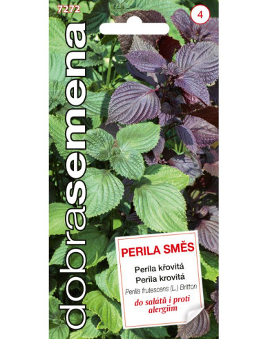 Dobrá semena Perila krovitá