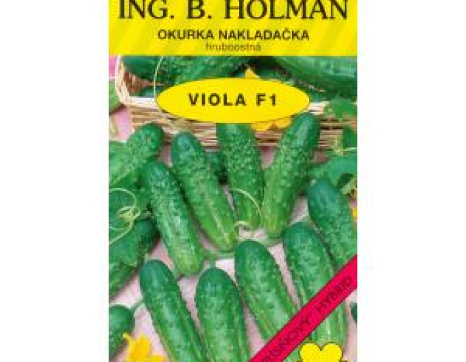Holman Uhorka siata nakladačka ´Viola F1´