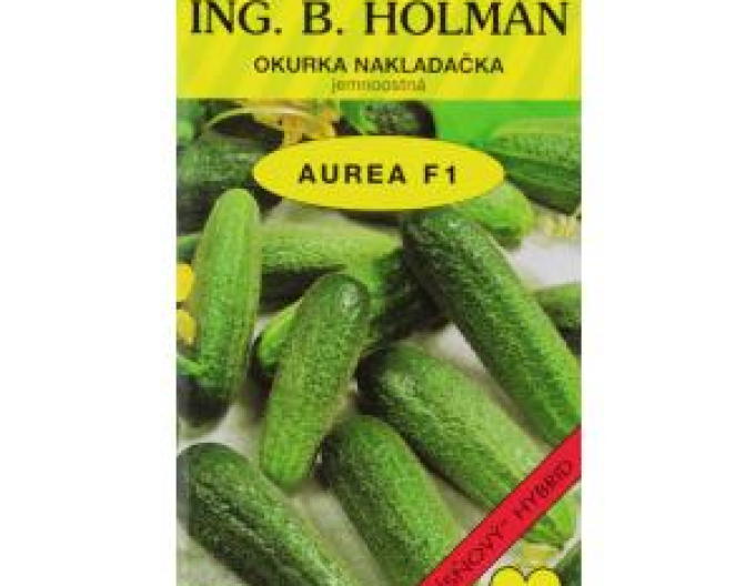 Holman Uhorka siata nakladačka ´Aurea F1´
