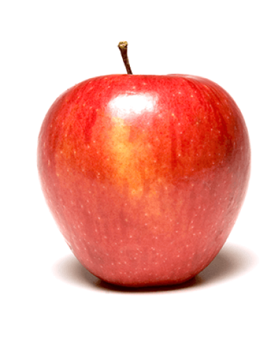 Jabloň ´Pinova´ zimná, podpn. M26, voľnok.