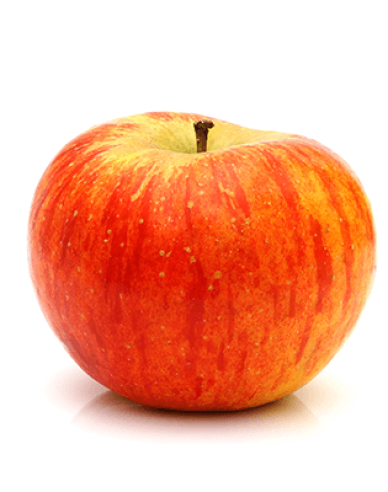 Jabloň ´Topaz´ zimná, podpn. MM106, voľnok.