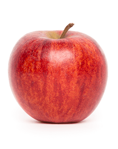 Jabloň ´Gala Mitchgla´ jesenná, podp. MM106, voľnok.