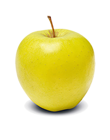 Jabloň "Golden Delicious" zimná, podp. MM106, kont. 5l