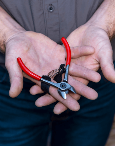 FELCO 330  Nožnice na ovocie