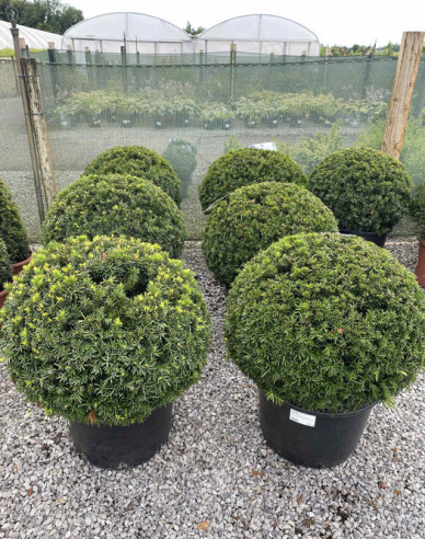 Tis obyčajný Ball - v tvare gule