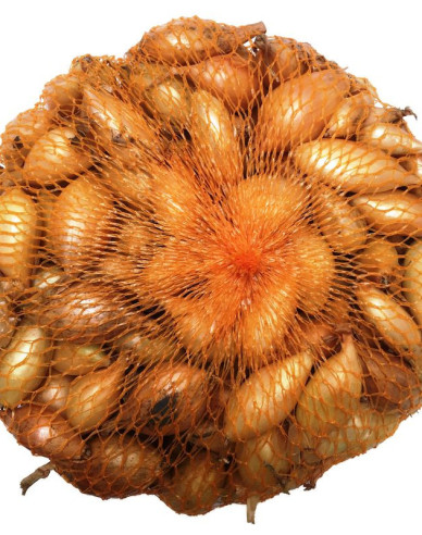 Cibuľa sadzačka ´ Senshyu Yellow ´ 10/21  250g