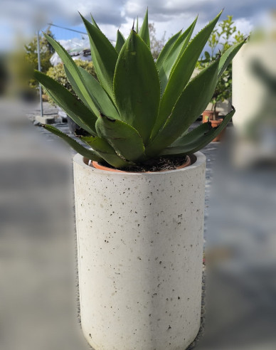 Kvetináč Terratico Fusion Oslo M Pearl