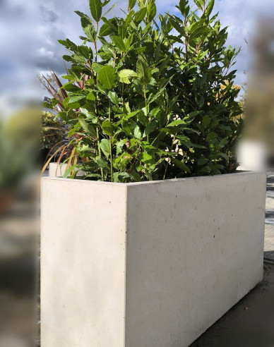 Kvetináč Terratico Prima Sydney L Pearl