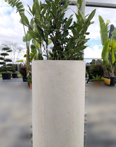 Kvetináč Terratico Fusion Oslo L Pearl