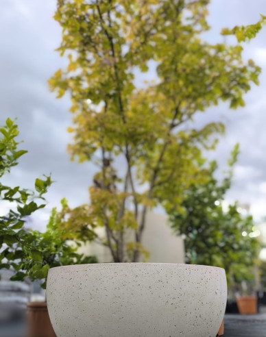 Kvetináč Terratico Terra Vienna L Pearl